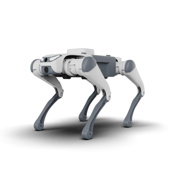 China Intelligent Quadruped Robot Manufacture and Factory | Heweiyongtai